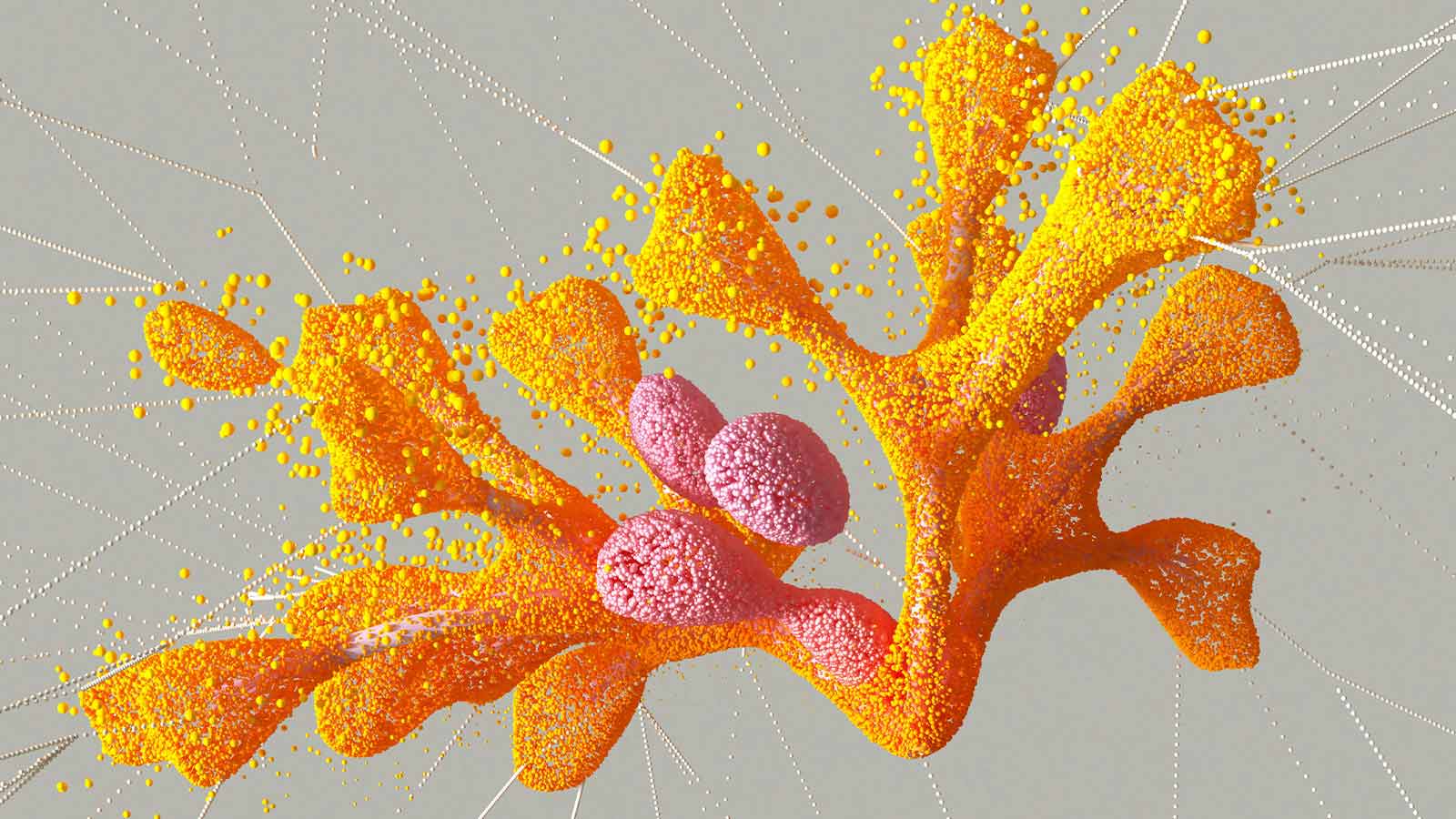 a close up of a colorful object Abstracts of Title