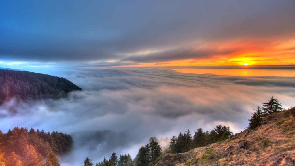 Sunset over foggy forest landscape Deed