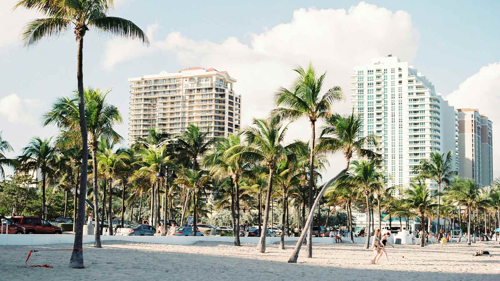 Palm trees and buildings by beach Miami-Dade Records Miami-Dade County