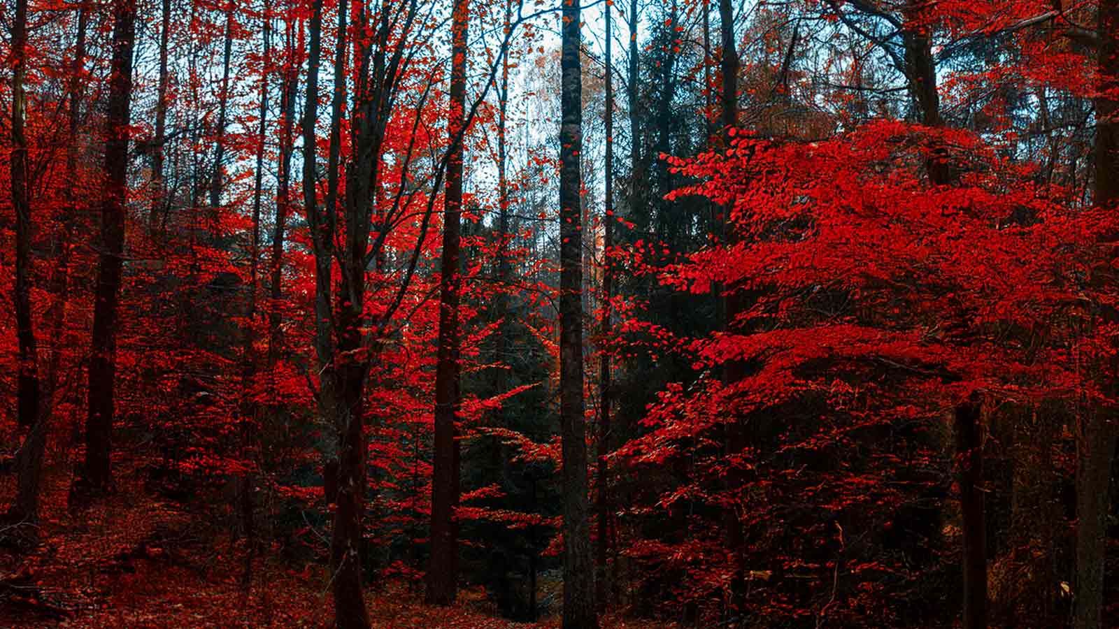 property title search using Digitized Data